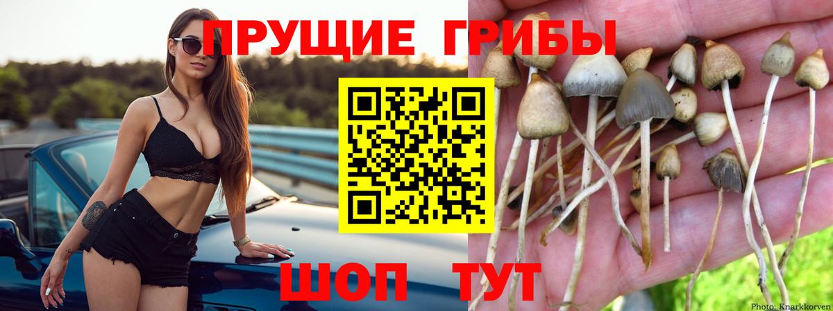 Евпатория  Галлюциногенные грибы GOLDEN TEACHER  Псилоцибиновые грибы MAGIC MUSHROOMS  магазин продажи наркотиков  Вход с VPN 